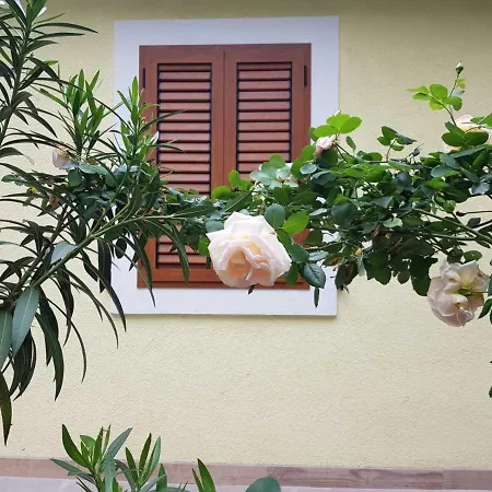 Rosa I Linda Fiume
