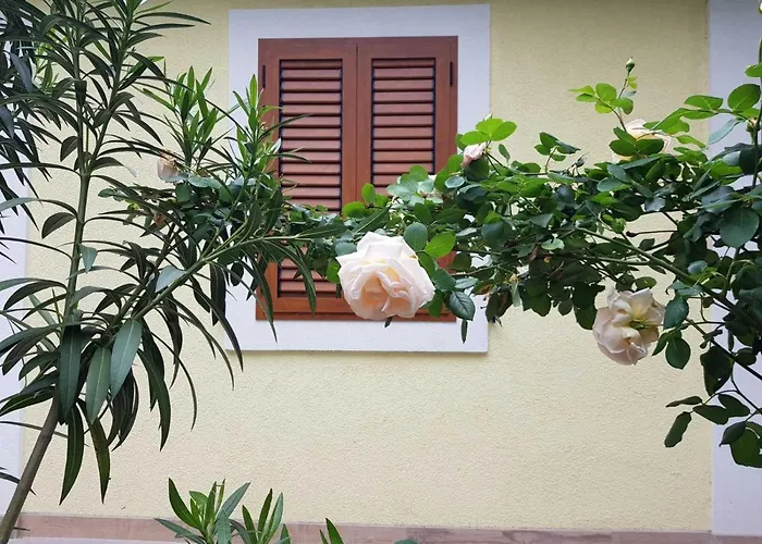 Rosa I Linda Rijeka